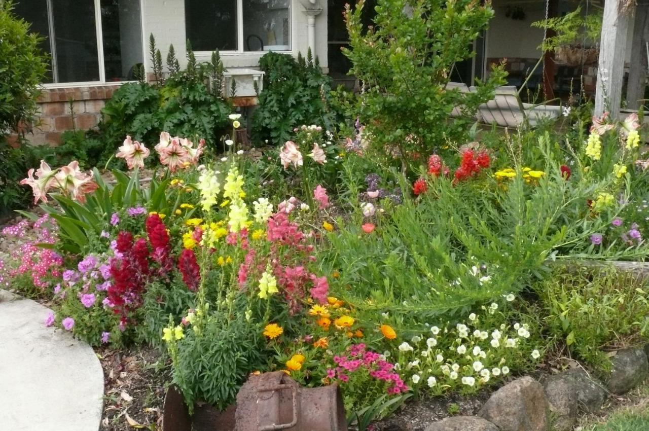 Cedarview Bed & Breakfast Beechmont Exterior foto